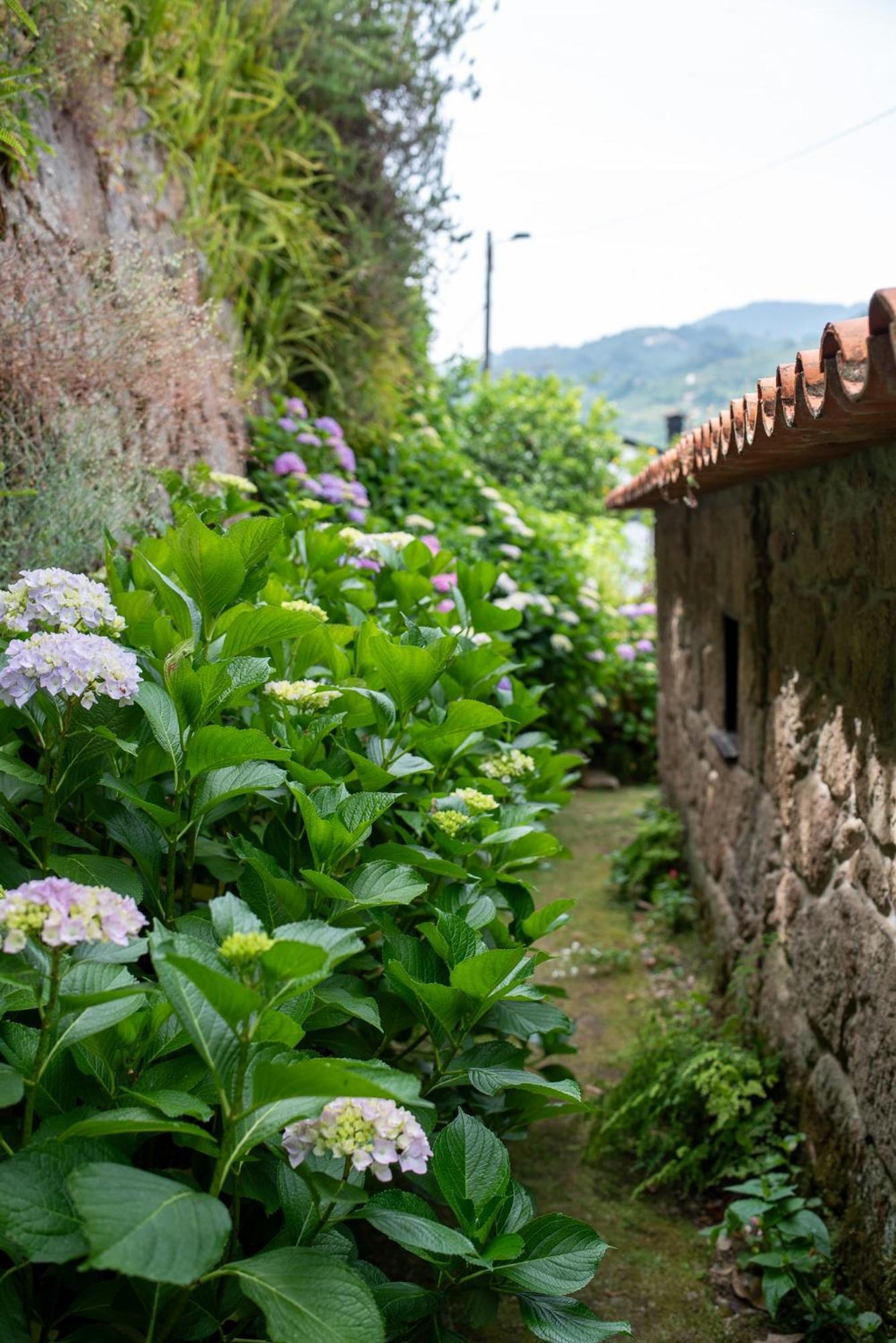 Casa Da Torre, Porto Manso Villa Ribadouro Exteriör bild