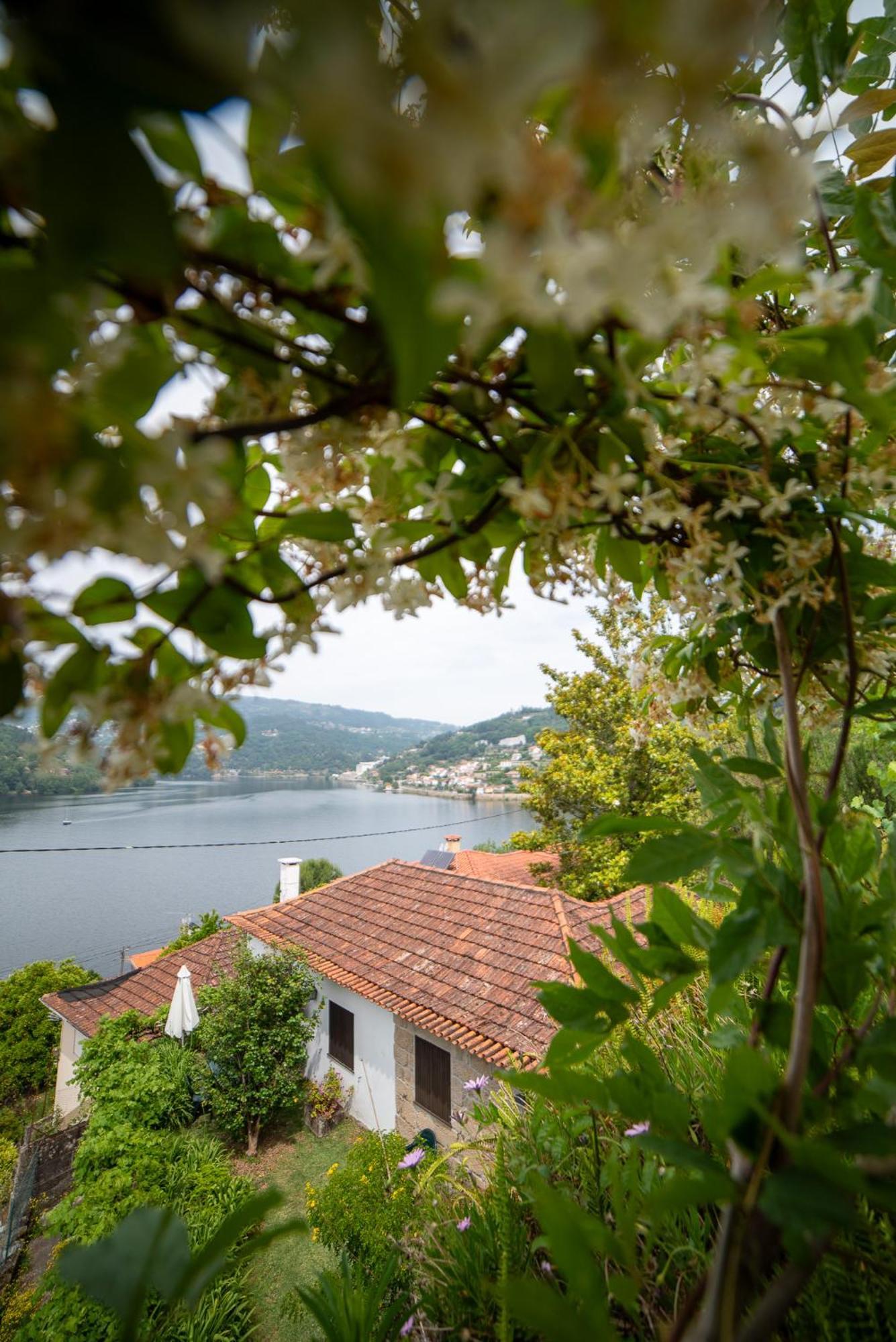 Casa Da Torre, Porto Manso Villa Ribadouro Exteriör bild